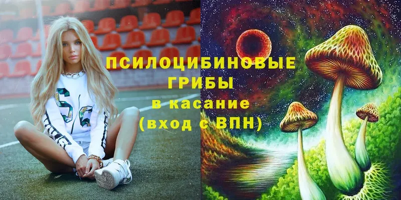 Галлюциногенные грибы Cubensis  mega ссылка  Инта  как найти наркотики 